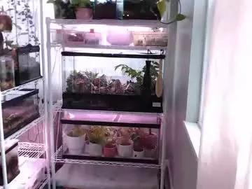 constantcumquest — No Goal for a bit ~ enjoy the view while I get some work done on my computer!