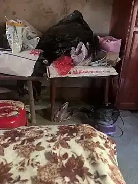 chenyu0308 — briefs