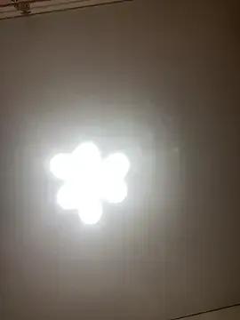 Janet_Welder — Freechat on StripChat