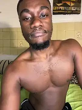 Pinepool21 — Shuffle