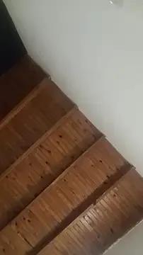 ZaraHoney on StripChat 