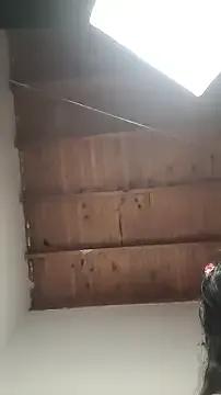 ZaraHoney on StripChat 